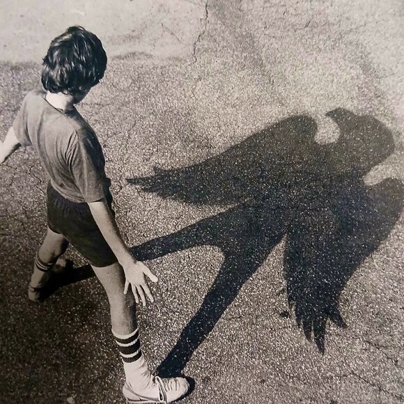 Bundle of 5 Classic Eagles Records w/ 2 bonus, secret Records - Picture 4 of 12